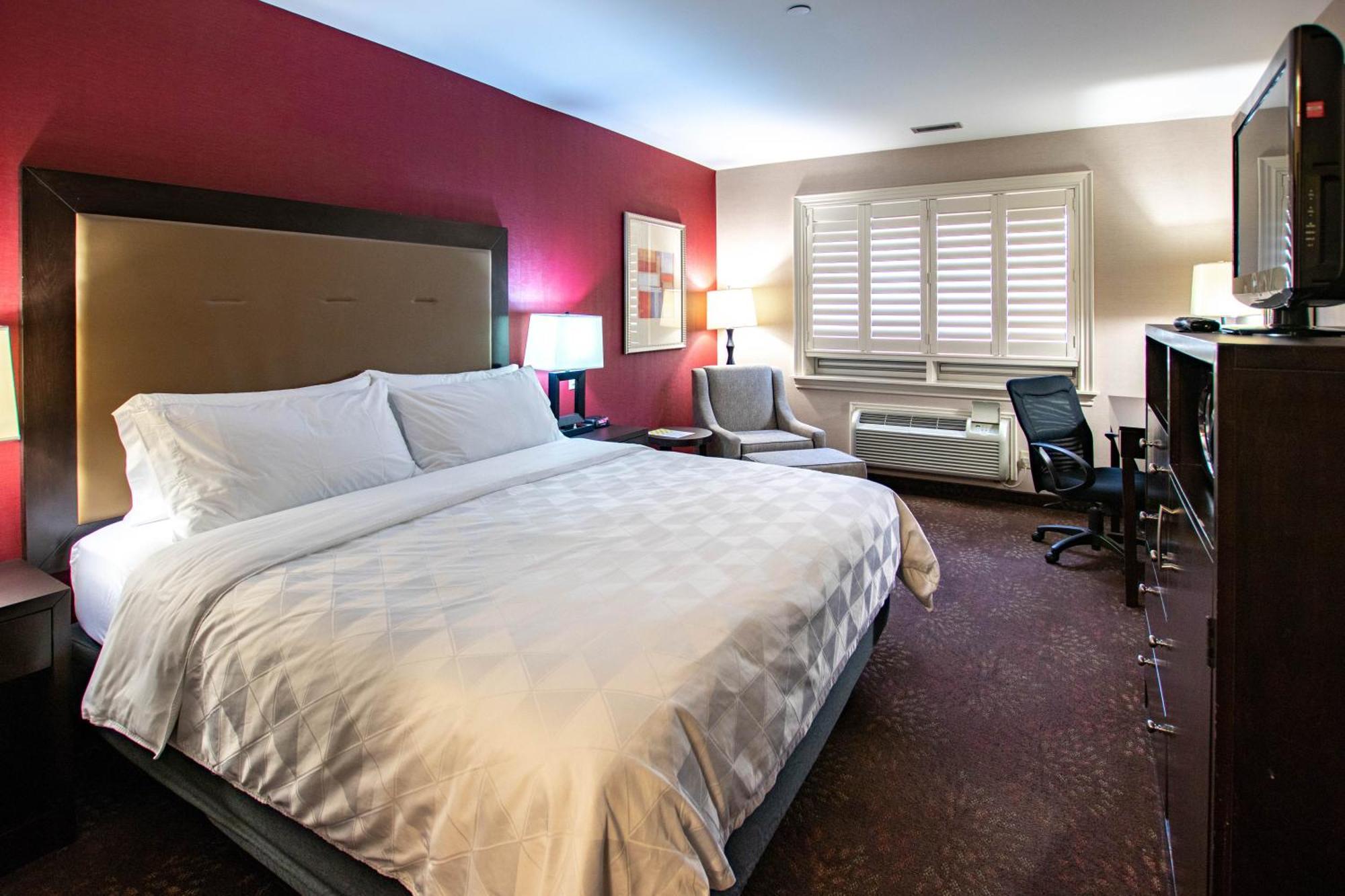 Holiday Inn Hotel & Suites St.Catharines-Niagara By Ihg Sainte-Catherine Exterior foto